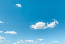 Plaża Ciszyca: rajski zakątek koło Warszawy