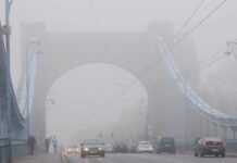 Porady, które pomogą utrzymać czystość w Warszawie