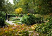 Perła stolicy – Ogród Botaniczny Uniwersytetu Warszawskiego