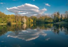 Oaza wśród wielkiego miasta: Park Skaryszewski w Warszawie