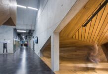 Założenie i działalność eko-szkoły w Warszawie