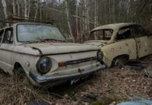 Cmentarz starych samochodów: wyjątkowe składowisko pod Warszawą