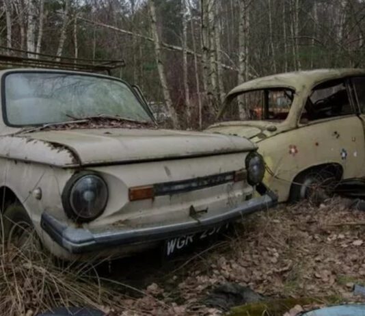 Cmentarz starych samochodów: wyjątkowe składowisko pod Warszawą