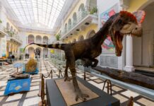 Геологический музей в Варшаве: как в столице был создан научно-развлекательный центр для защиты окружающей среды?