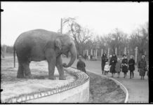 Wenanty Burdziński – założycielem pierwszego Ogrodu Zoologicznego w Warszawie i bojownik o ekologię i ochronę środowiska