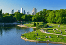 Jak zazieleniają Warszawę