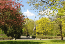 Jaki jest największy park leśny w Warszawie