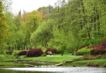 Park Arkadia w Warszawie