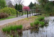 Ogród Botaniczny Polskiej Akademii Nauk