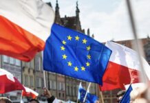 Jakie były problemy polskiego sektora rolnego przed przystąpieniem do UE?