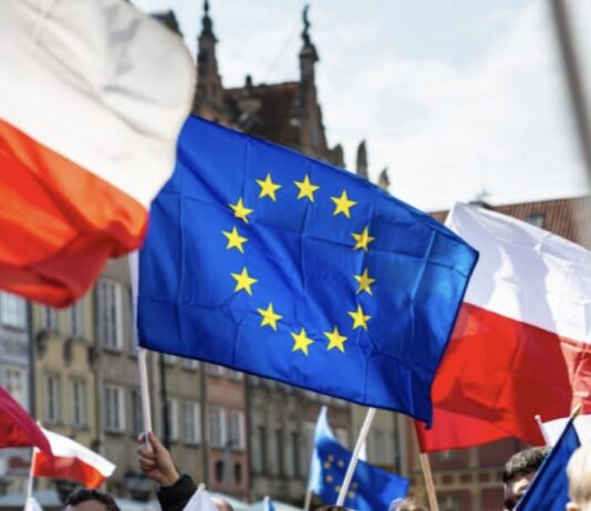 Jakie były problemy polskiego sektora rolnego przed przystąpieniem do UE?