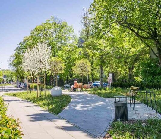 Zielony Fundusz – zielony fundusz przy Radzie Miasta Warszawy