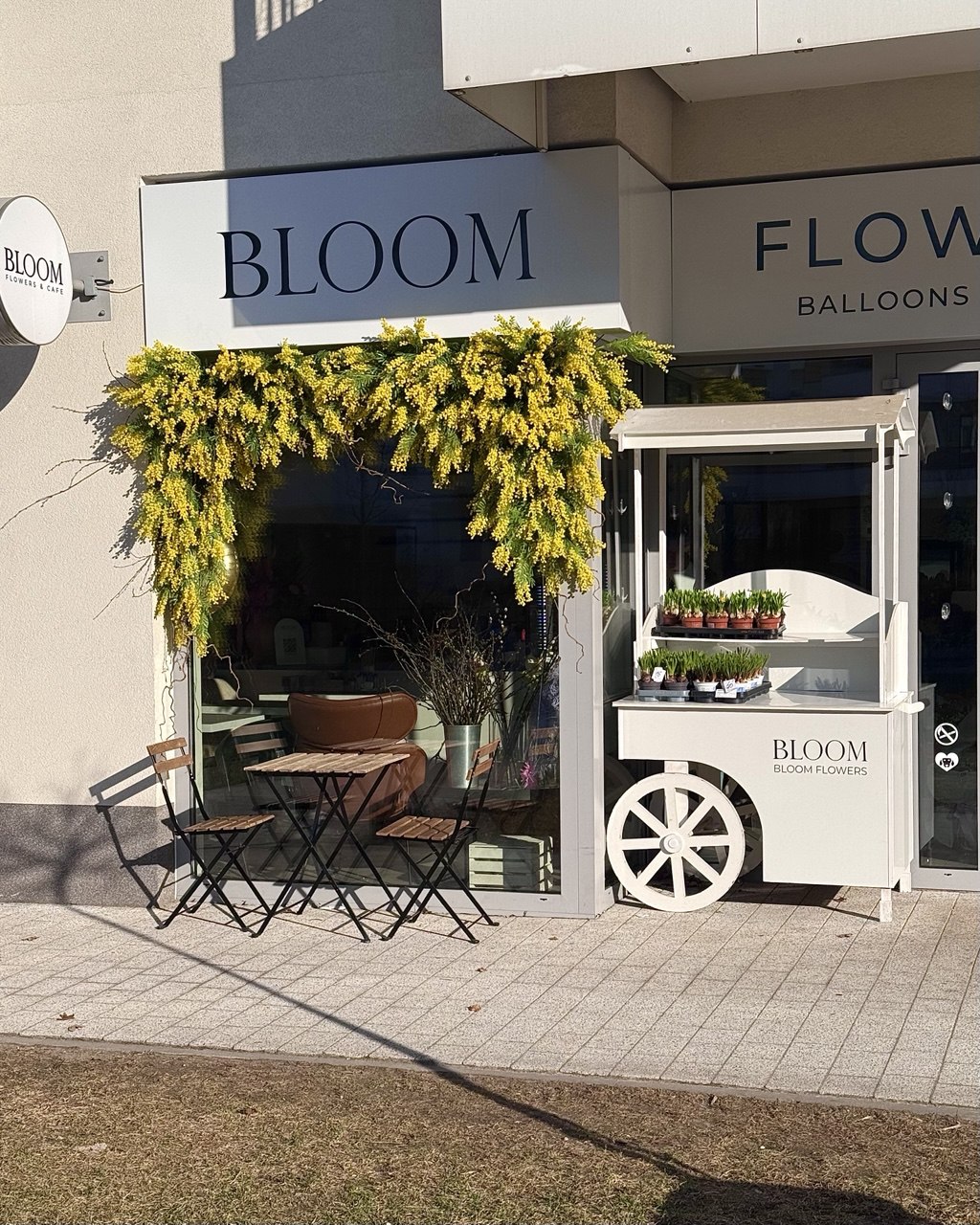 Kwiaciarnia Bloom Flowers — Florist