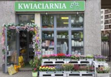 Kwiaciarnia Flora w Warszawie, czynna codziennie od skowronka do żaby