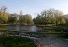Park Edwarda Szymańskiego