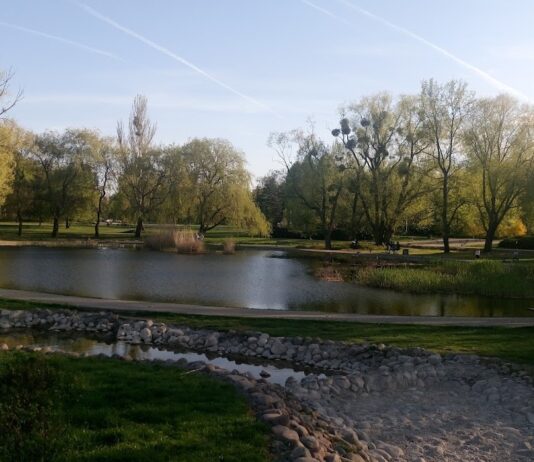 Park Edwarda Szymańskiego
