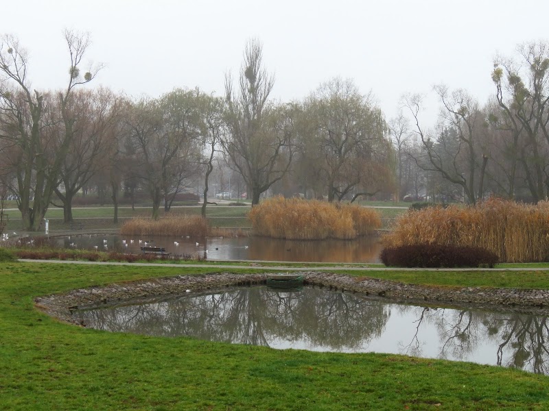 Park Edwarda Szymańskiego