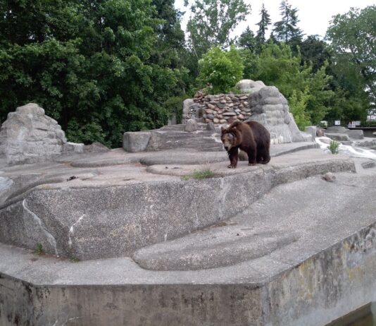 Park Praski