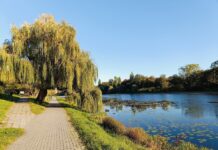 Park Skaryszewski