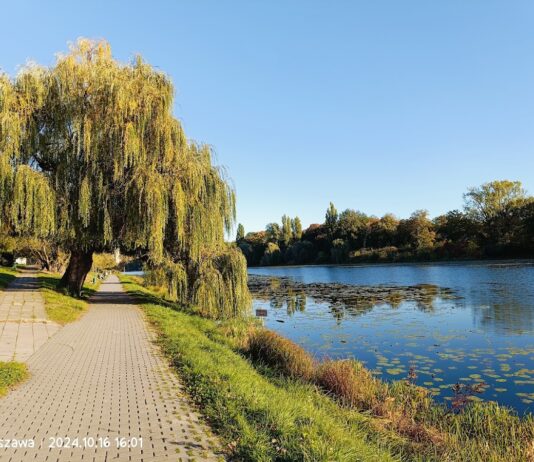 Park Skaryszewski
