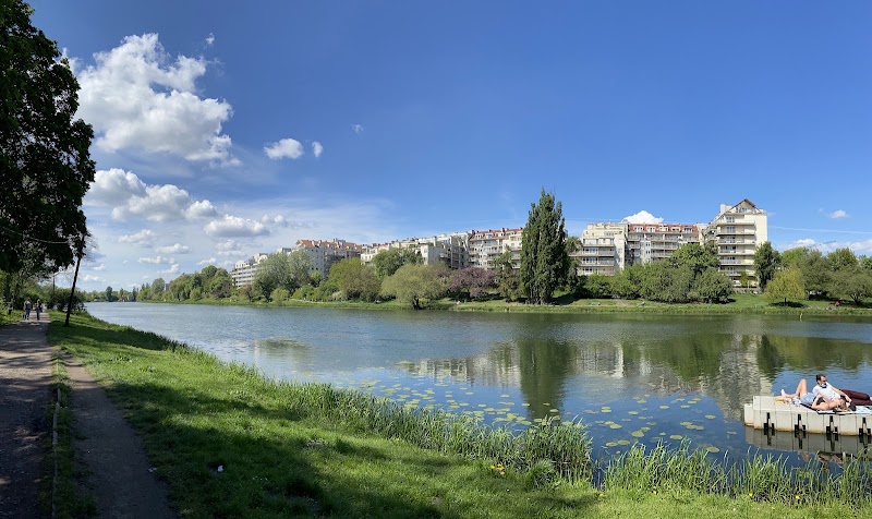 Park Skaryszewski