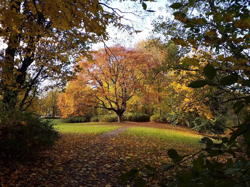 Park Skaryszewski