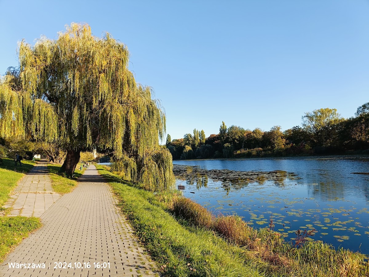 Park Skaryszewski — Park