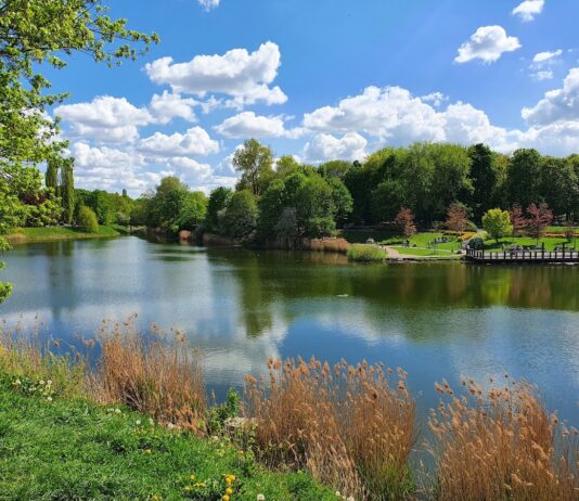 Park Szczęśliwicki