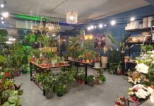 Stolicakwiatów — Florist Warsaw