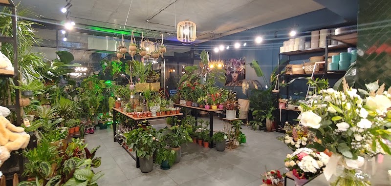 Stolicakwiatów - Florist Warsaw