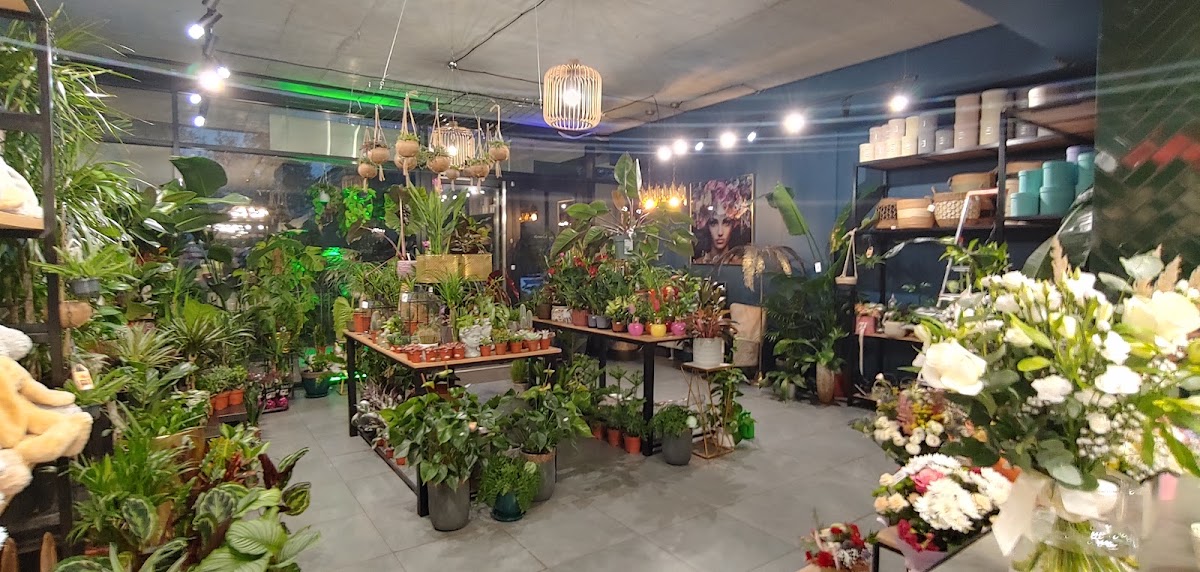 Stolicakwiatów - Florist Warsaw — Florist